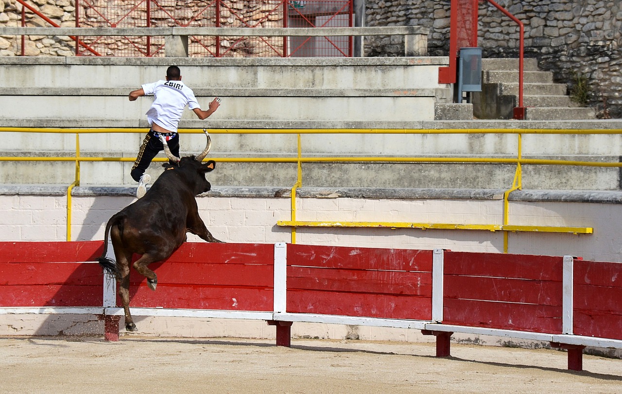 首选