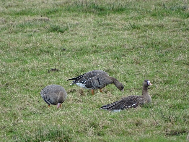 的携手贡献 的携手贡献