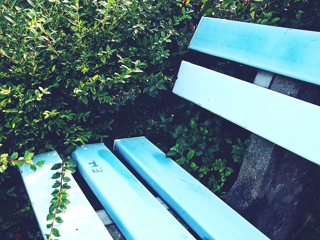 紧急呼吁 紧急呼吁