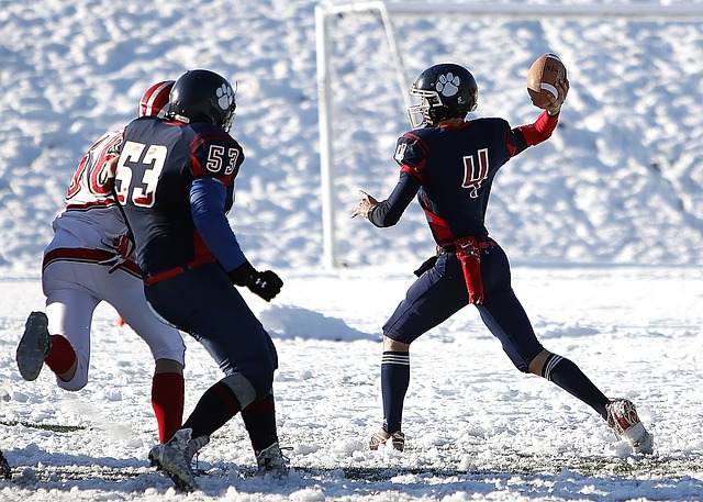 的傑出表現 的傑出表現