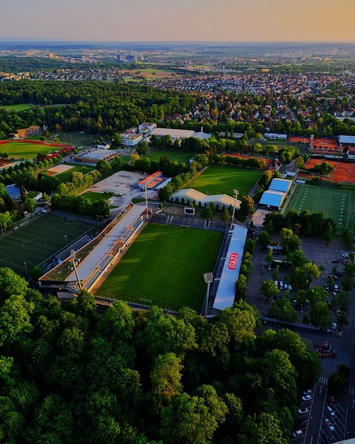 英超竞争激 英超竞争激