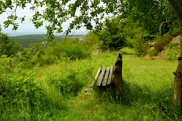 身价更新 身价更新