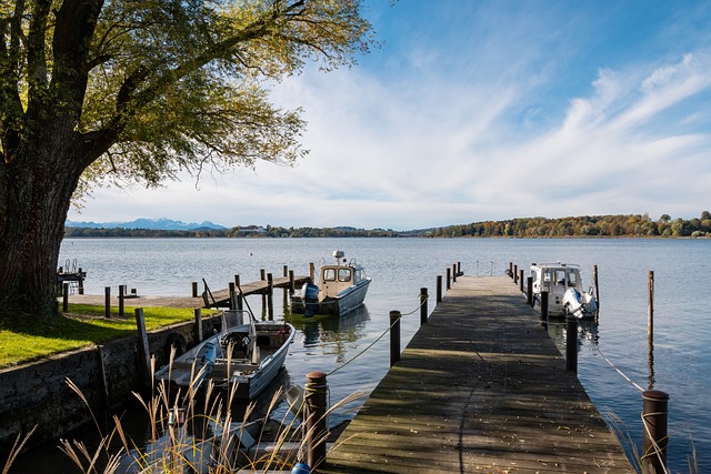 尔滨向亚冬 尔滨向亚冬