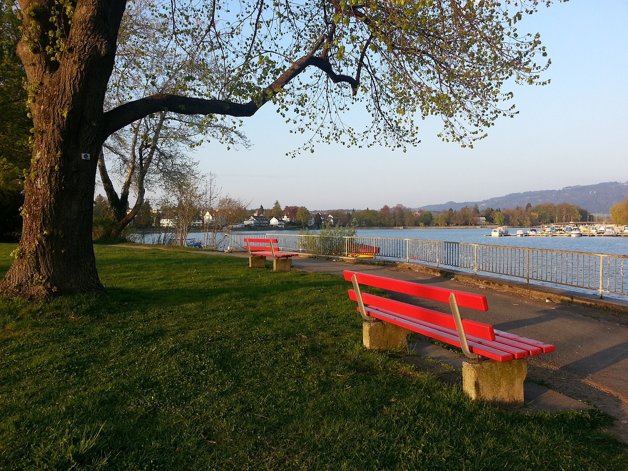 可多得的成 可多得的成